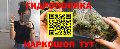 прущие грибы Первоуральск