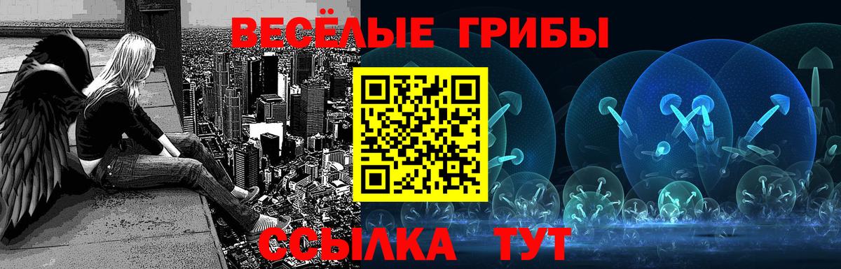 Галлюциногенные грибы GOLDEN TEACHER Новозыбков