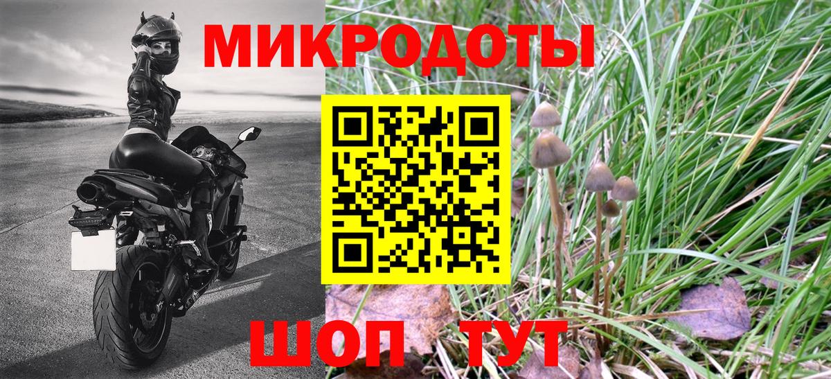 Новозыбков  Псилоцибиновые грибы мухоморы  Вход с VPN 