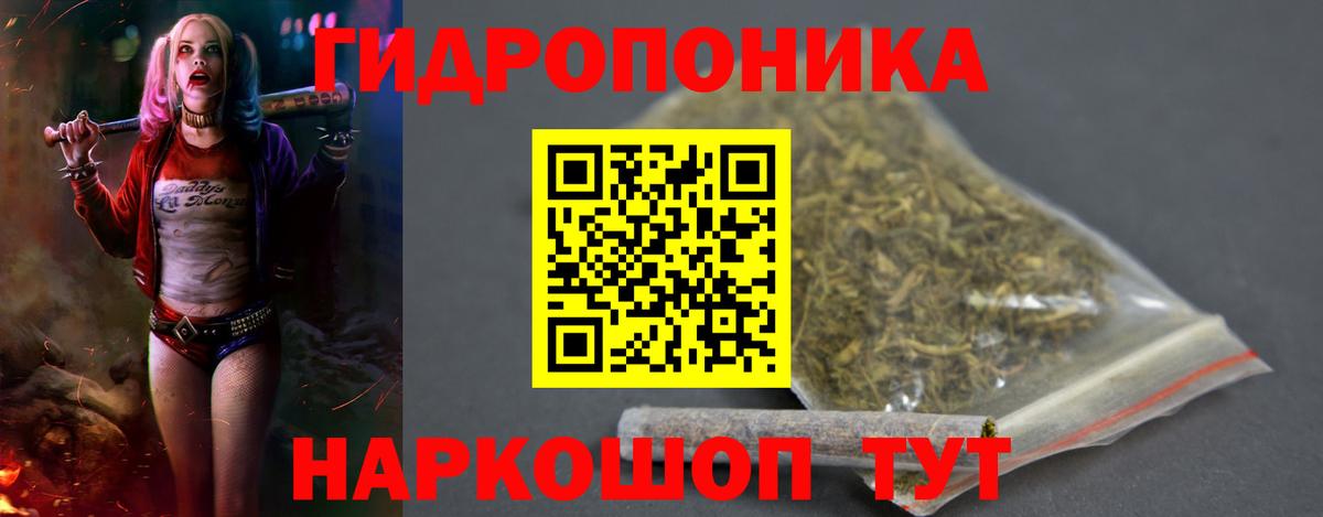 Бошки марихуана Amnesia Новозыбков